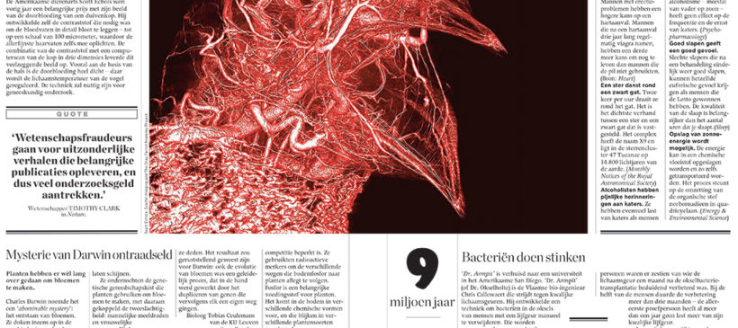 BriteVu Pigeon Art Reported in Magazines Internationally!!