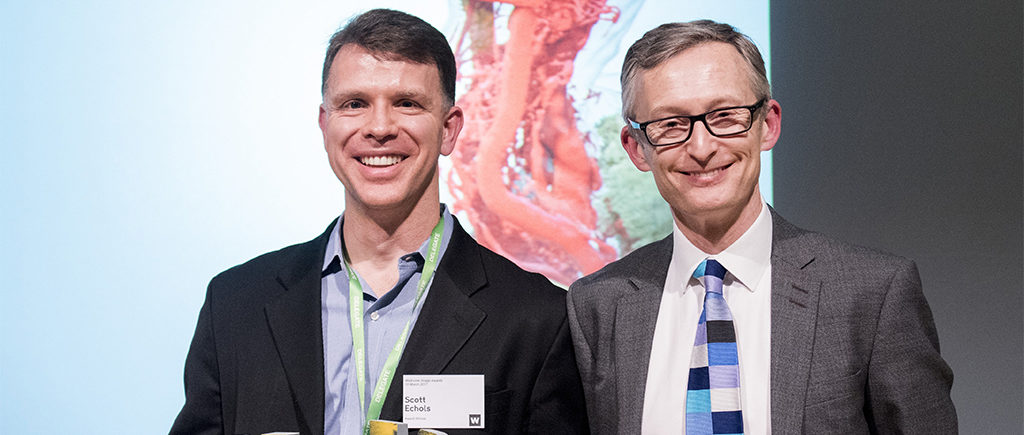 BriteVu Honored in a Art Award