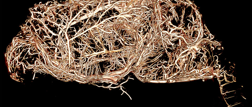 Scientific Papers Featuring BriteVu