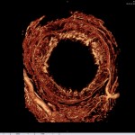 If I have a research project and would like to discuss using BriteVu, can I consult with a Scarlet Imaging, LLC scientist? 