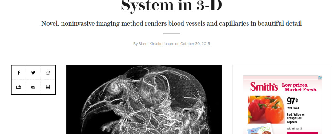 BriteVu Featured in Scientific American